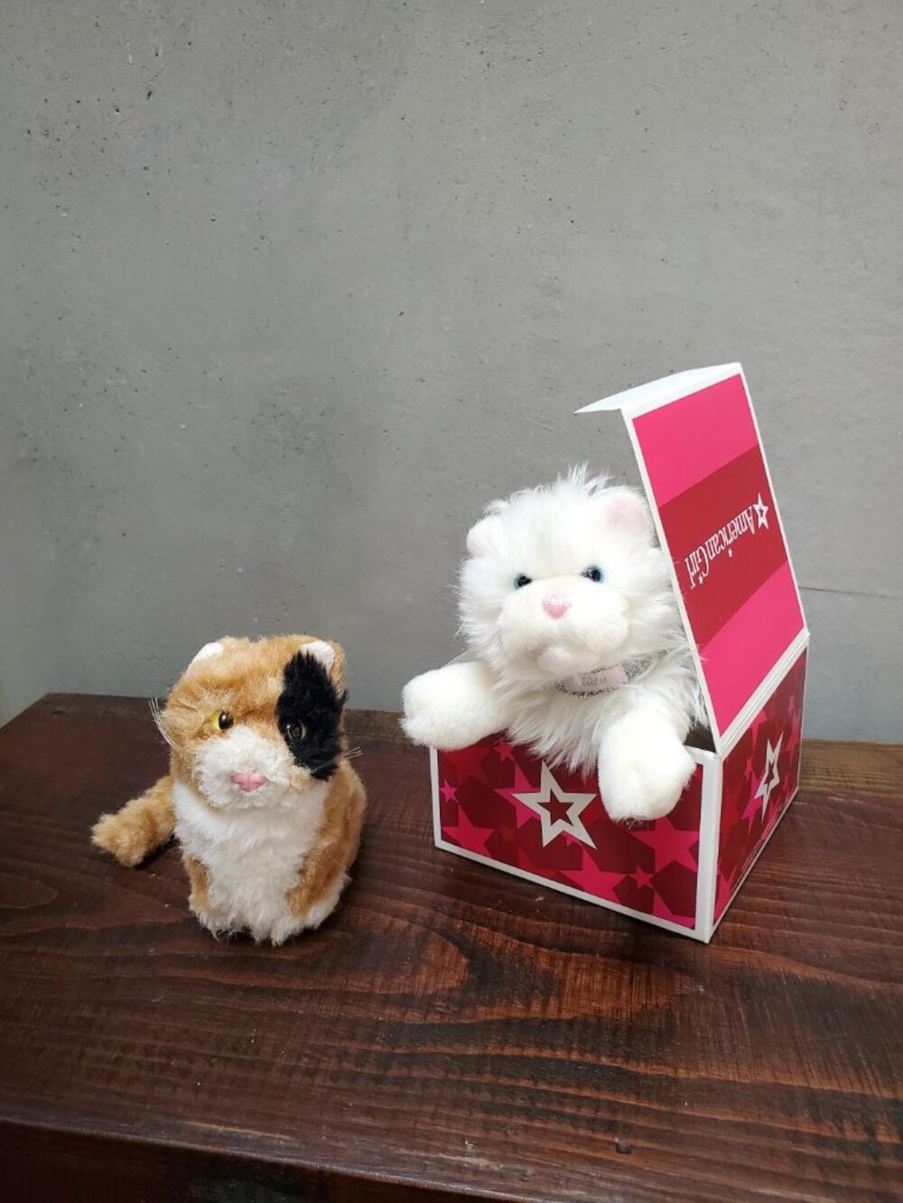 American Girl Doll Pet Cats Bundle: Retired Tutu & Calico Ginger Plush Lot